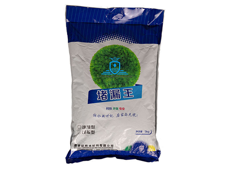 堵漏王